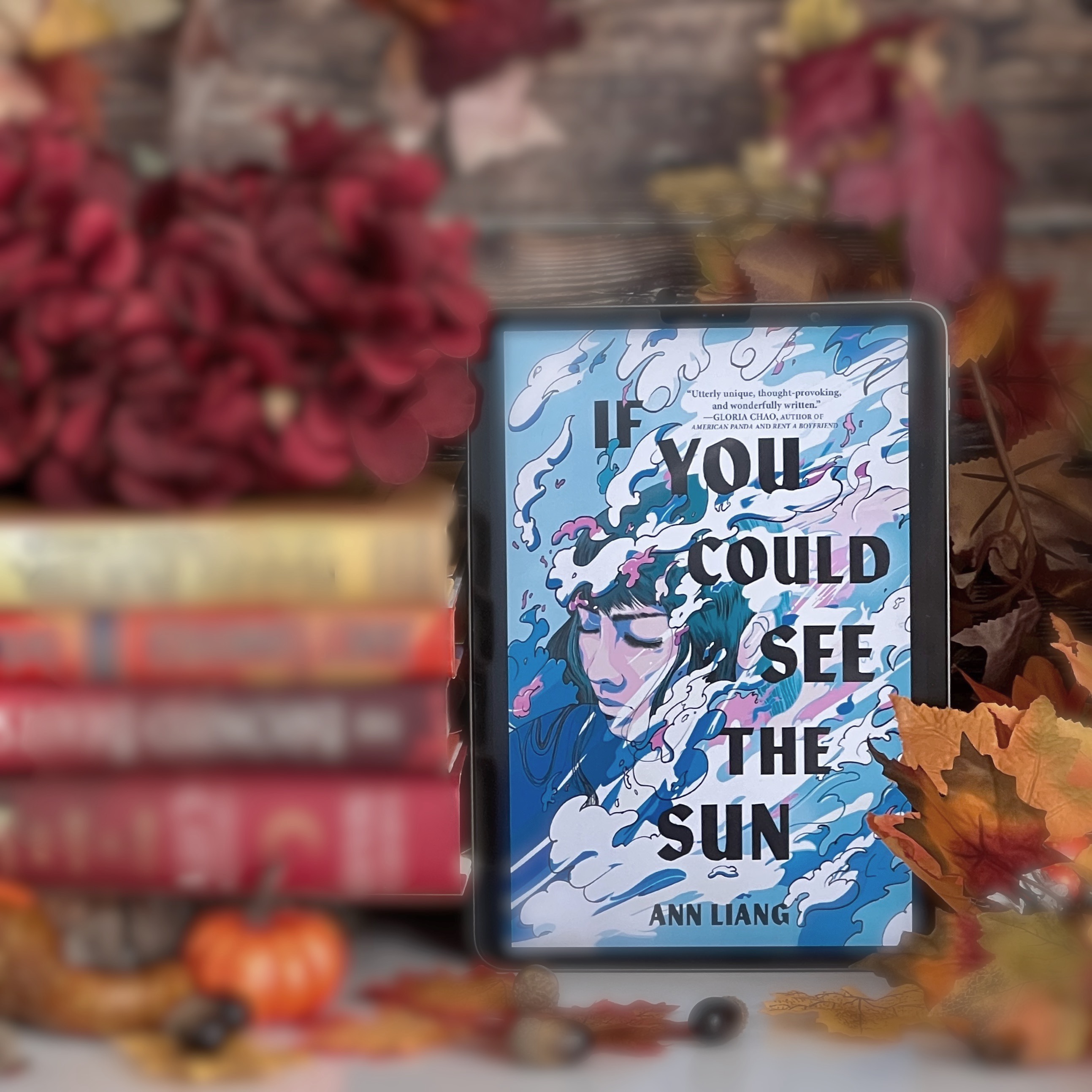 If You Could See the Sun by Ann Liang | #BlogTour #BookReview #YAContemporary #Multicultural #excerpt