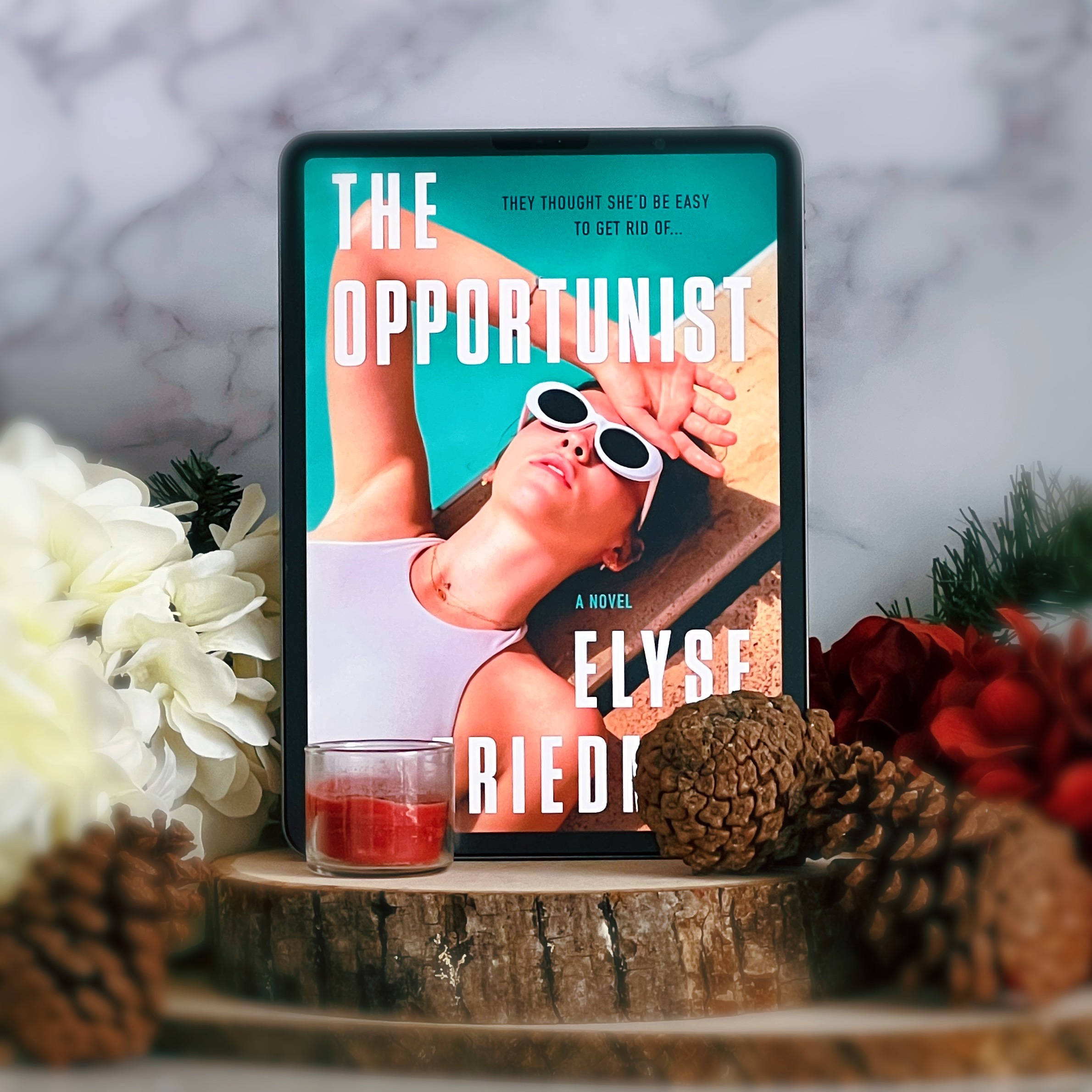 The Opportunist by Elyse Friedman #BlogTour #BookReview #PsychologicalThriller #Excerpt