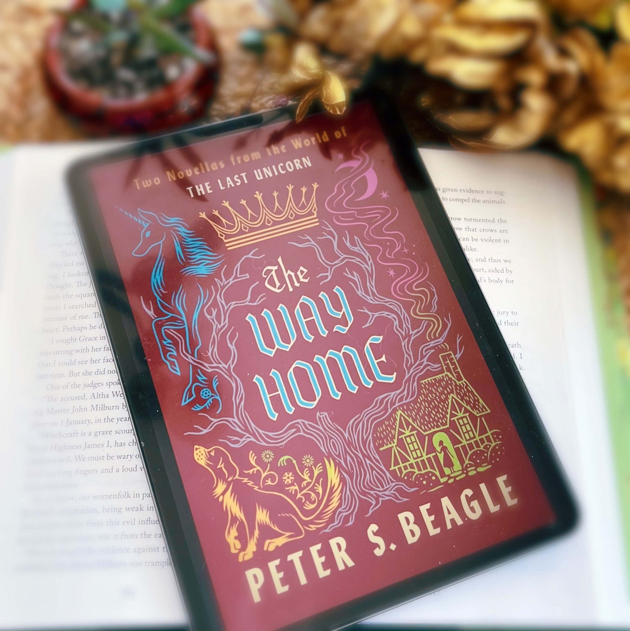 The Way Home by Peter S. Beagle #BookReview #fantsay #novellas