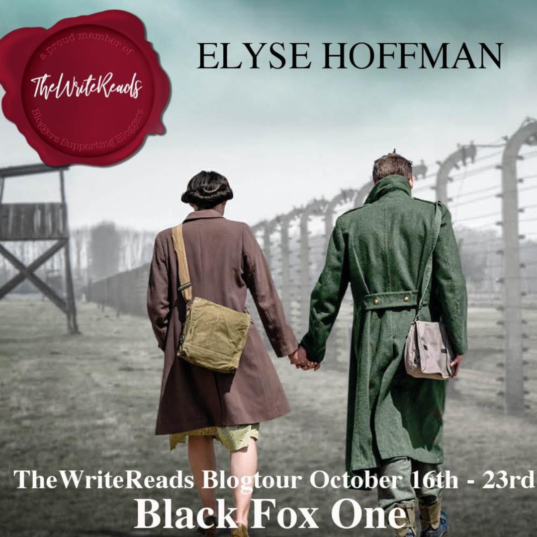 Black Fox One by Elyse Hoffman #BookSpotlight #HistoricalFictiom