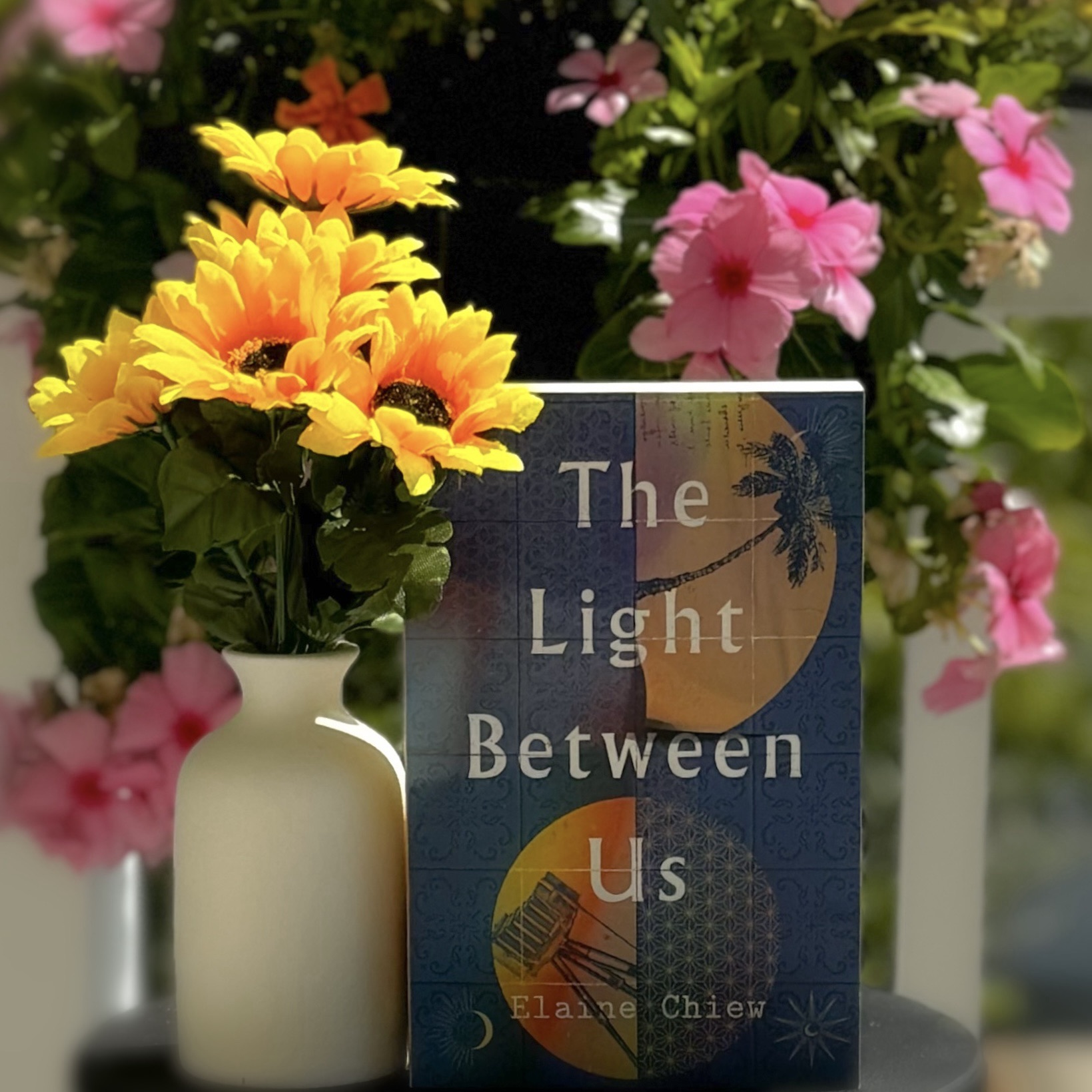 The Light Between Us by Elaine Chiew