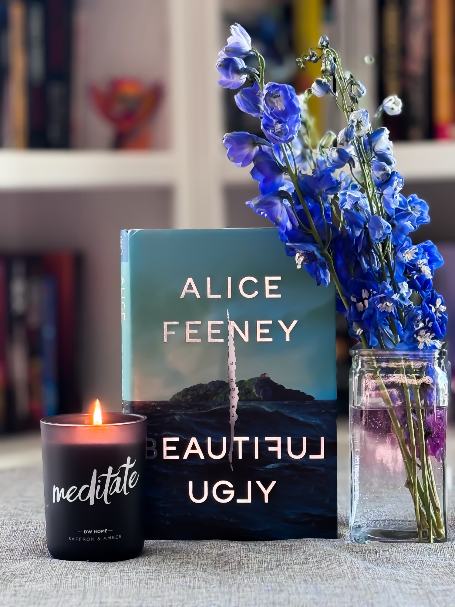 Beautiful Ugly by Alice Feeney: A Thrilling Book Review