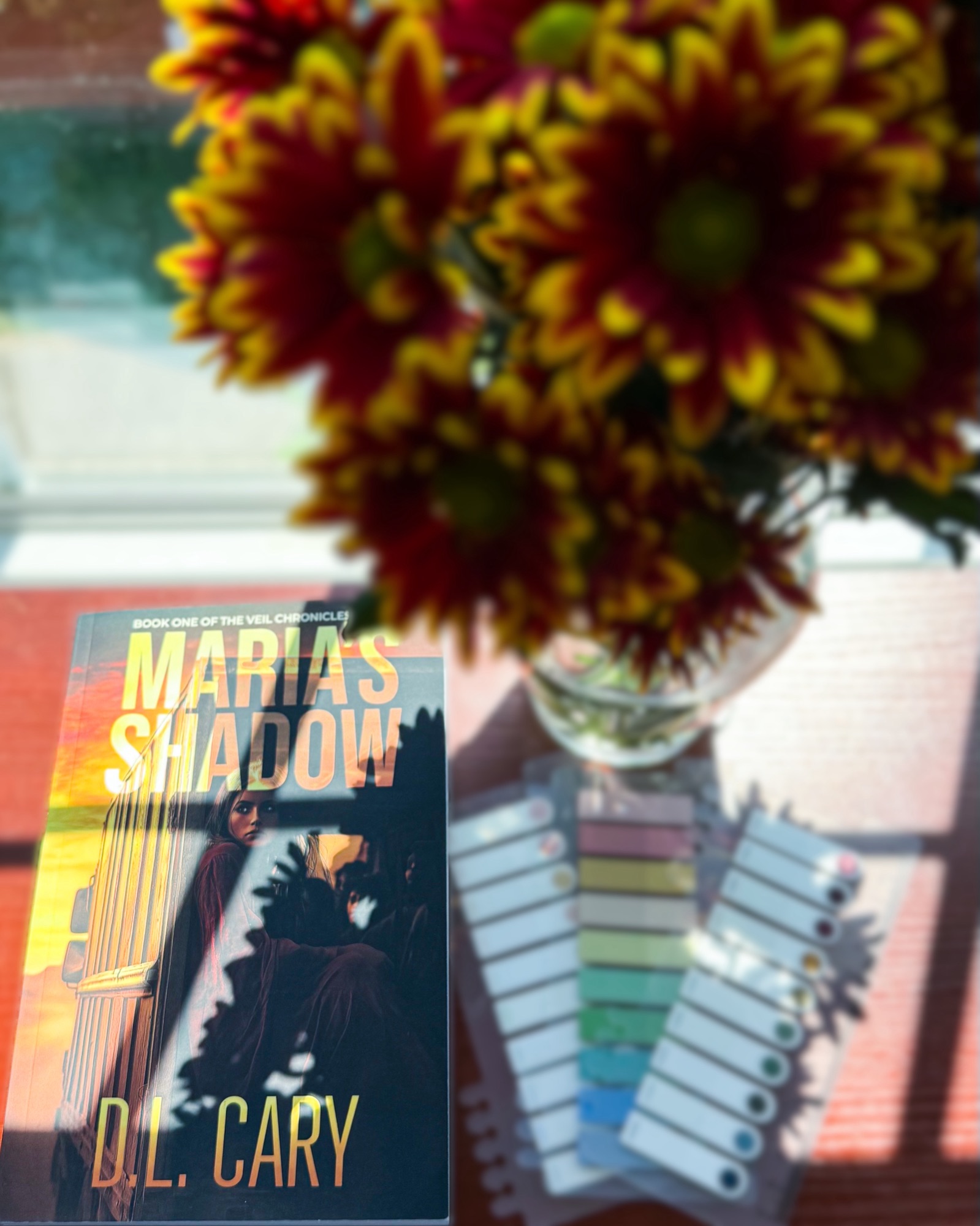 Maria’s Shadow&nbsp;by D.L. Cary