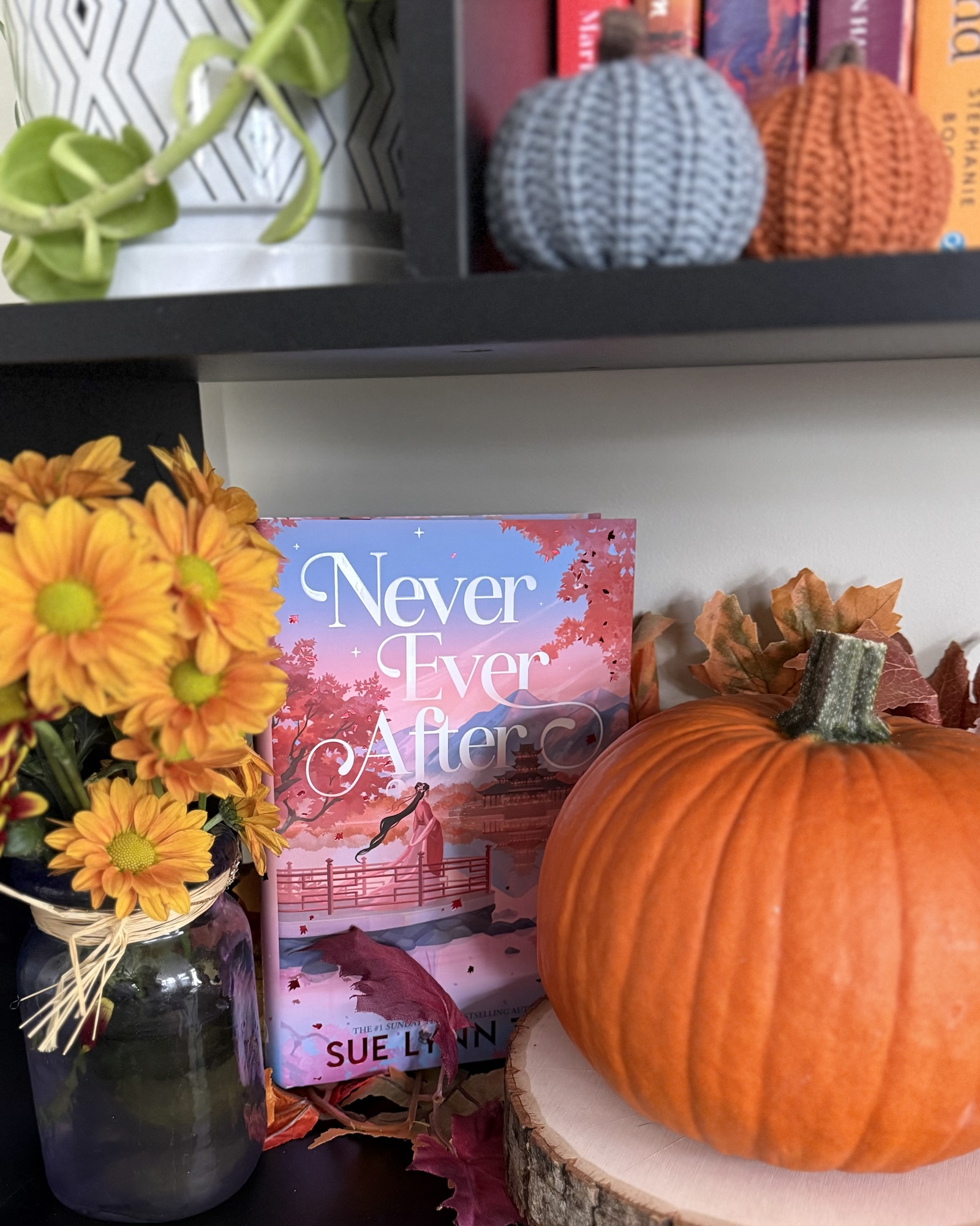 Book Spotlight: Never Ever After by Sue Lynn Tan